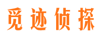 铁山港侦探公司